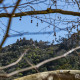Castelo dos Mouros, Sintra, Portugal