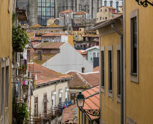Kathedrale und Altstadt