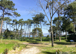 Camping Orbitur Caminha