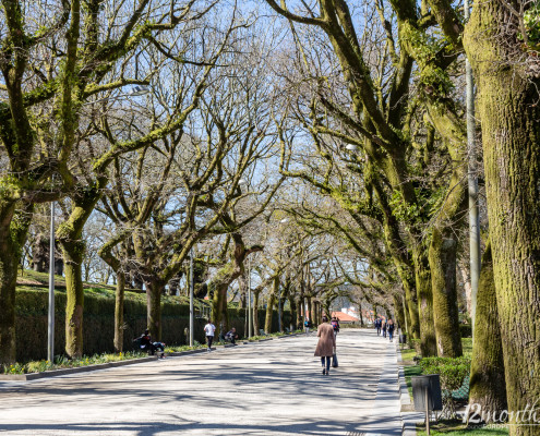 Alameda, Santiago de Compostela, Spanien