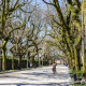 Alameda, Santiago de Compostela, Spanien