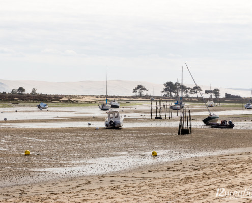 Ebbe, Bassin d'Arcachon