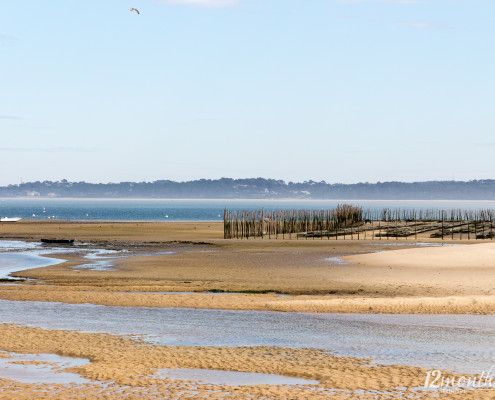 Austernbänke, Bassin d'Arcachon