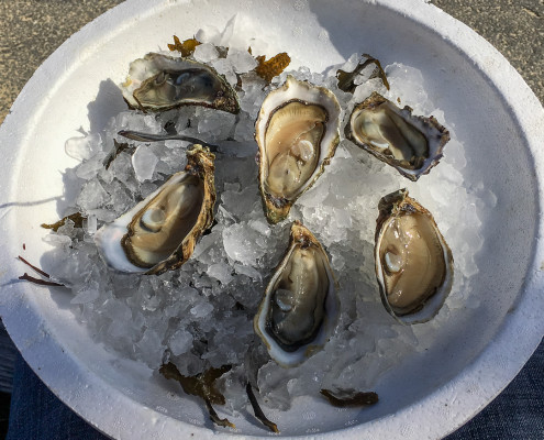 Austern, Bassin d'Arcachon