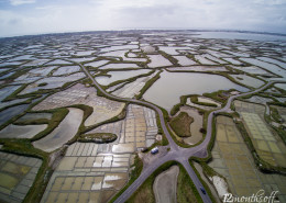 Marais salants de Guérande, Frankreich