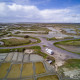 Marais salants de Guérande, Frankreich