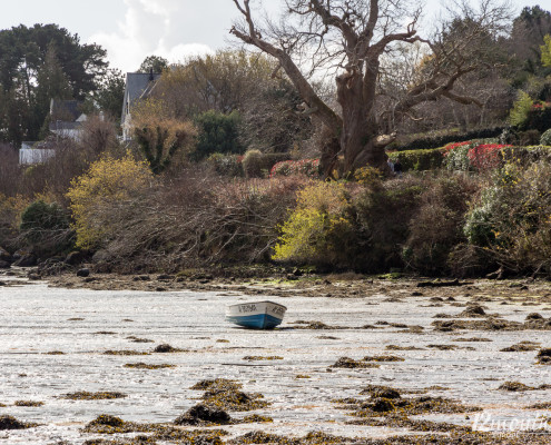 Golfe du Morbihan, Frankreich