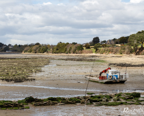 Golfe du Morbihan, Frankreich