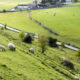 Cashel, Irland