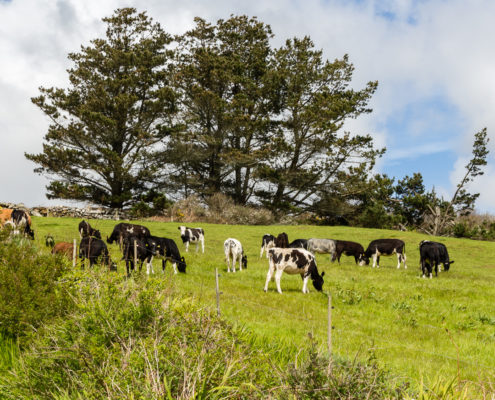 Ballydehob, Irland