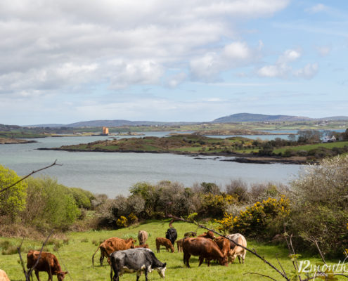 Ballydehob, Irland