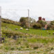 Ring of Beara