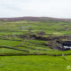 Ring of Beara