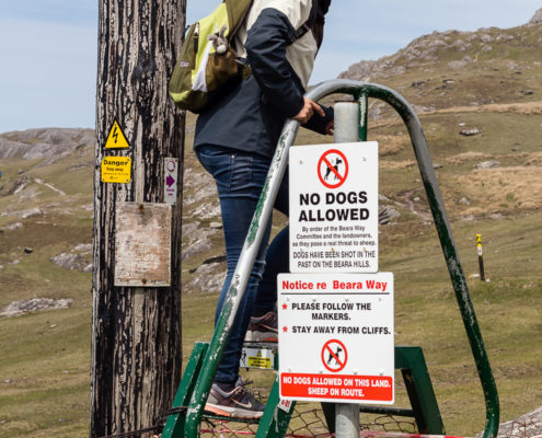 Ring of Beara