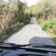 Ring of Beara, Irland