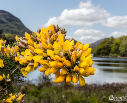 Killarney, Irland