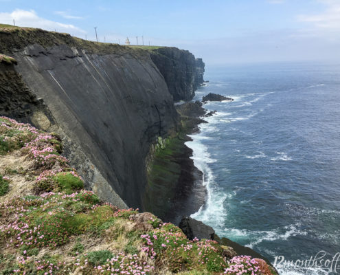 Loop Head, Irland