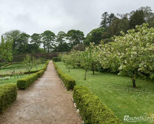 Connemara, Irland