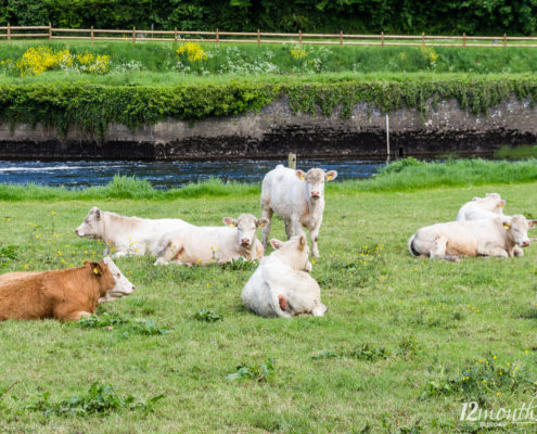 Slane, Irland