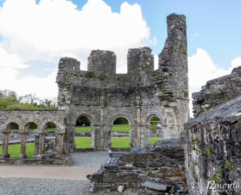 Mellifont Abbey, Irland