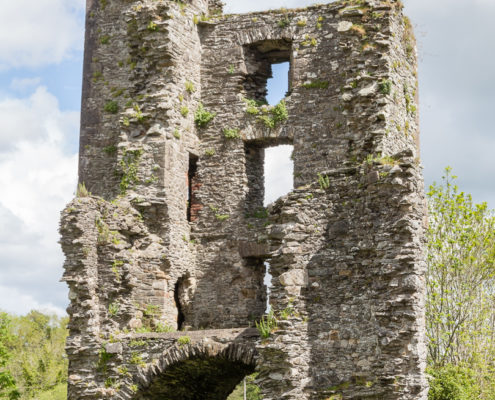 Mellifont Abbey, Irland