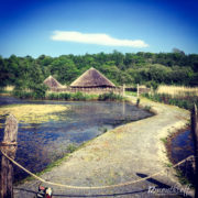 Irish National Heritage Park, Wexford