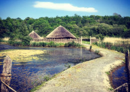 Irish National Heritage Park, Wexford