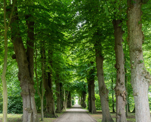 Egeskov, Dänemark