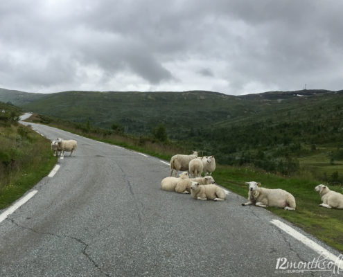 Aurlandsfjellet, Norwegen