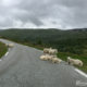 Aurlandsfjellet, Norwegen