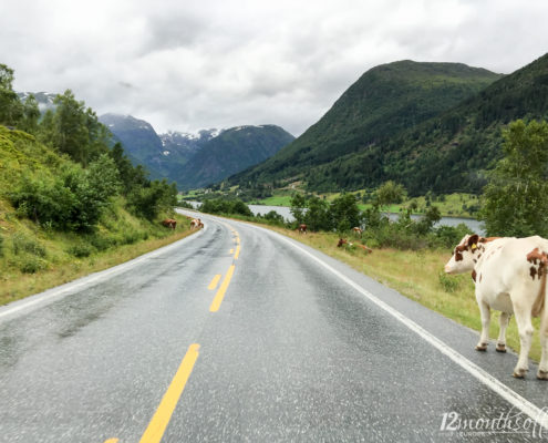 Aurlandsfjellet, Norwegen