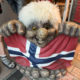 Land der Trolle, Norwegen