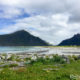 Lofoten, Norwegen