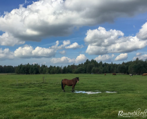 Pärnu, Estland
