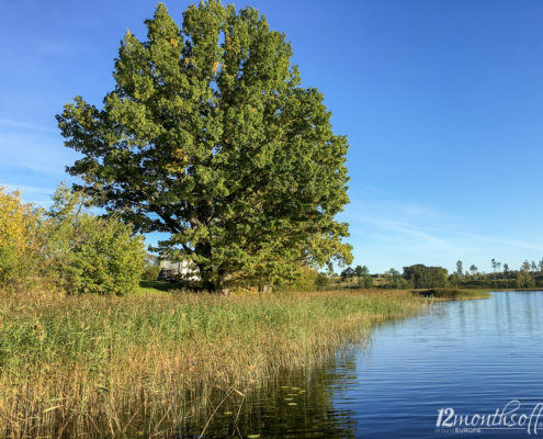 Cieceres ezers, Lettland