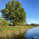 Cieceres ezers, Lettland