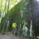 Wolfsschanze, Polen