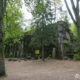 Wolfsschanze, Polen