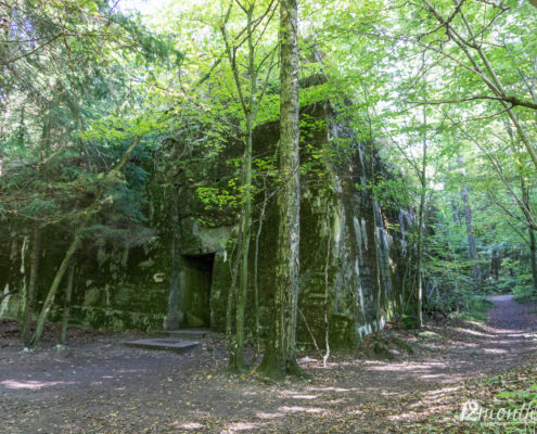 Wolfsschanze, Polen