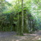 Wolfsschanze, Polen